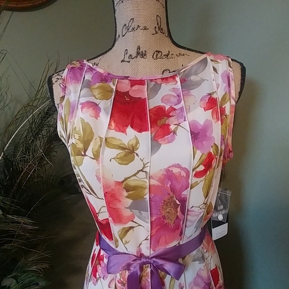 Sandra Darren Fit and Flare Dress Size 8P - Picture 2 of 8